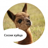 Зверята с грубыми надписями, стикер 10 из набора «Злые животные»