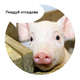 Зверята с грубыми надписями, стикер 8 из набора «Злые животные»