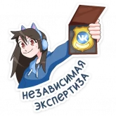 Стикер #4 из набора Эксперты ВКонтакте
