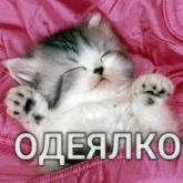 Стикер #4 из набора Разрывные котята