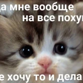 Стикер #11 из набора Разрывные котята