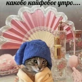 Стикер #9 из набора Разрывные котята