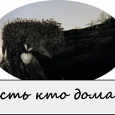Стикер #5 из набора Ежик в тумане 2