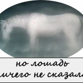 Стикер #3 из набора Ежик в тумане 2