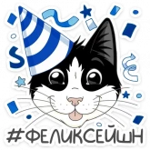 Стикер #8 из набора Феликс