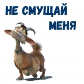 Стикер #10 из набора Фердинанд