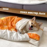 Стикер #11 из набора Пушистые мемы