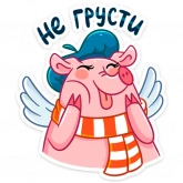 Стикер #12 из набора Летающие звери