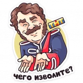 Стикер #9 из набора Гусар ТНТ