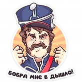 Стикер #5 из набора Гусар ТНТ