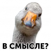 Стикер #8 из набора Гуси-хуюси