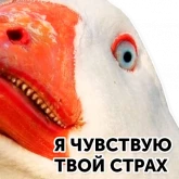 Стикер #5 из набора Гуси-хуюси