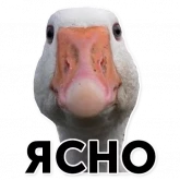 Стикер #4 из набора Гуси-хуюси