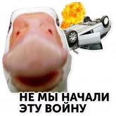 Стикер #2 из набора Гуси-хуюси