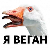 Стикер #11 из набора Гуси-хуюси