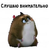 Стикер #5 из набора Хомяк Рино