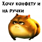Стикер #10 из набора Хомяк Рино