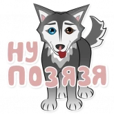 Стикер #5 из набора Веселая хаски