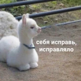 Стикер #5 из набора Милые милости