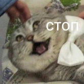 Стикер #10 из набора Милые милости