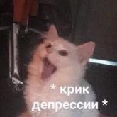 Стикер #8 из набора Милые милости