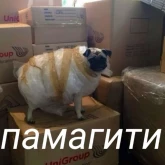 Стикер #4 из набора Милые милости