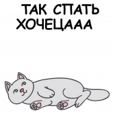 Стикер #11 из набора День кота