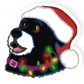 Стикер #5 из набора Собака Дженна