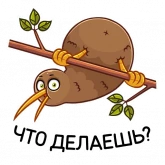 Стикер #6 из набора Киви Стиви