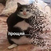 Стикер #11 из набора Няшные пикчи