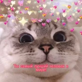 Стикер #4 из набора Няшные пикчи