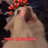 Стикер #7 из набора Няшные пикчи