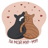 Стикер #5 из набора Котики by @orange_rabbbit