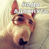 Стикер #9 из набора Песели