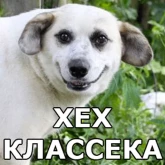 Стикер #4 из набора Песели