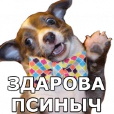 Стикер #3 из набора Песели