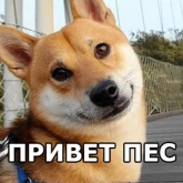 Стикер #2 из набора Песели