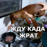 Стикер #12 из набора Песели