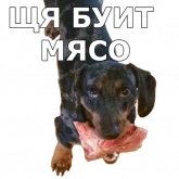 Стикер #5 из набора Песели
