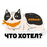 Стикер #9 из набора Котик айтишник