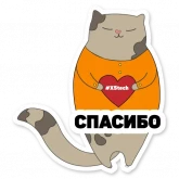 Стикер #12 из набора Котик айтишник