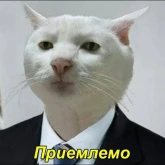 Стикер #4 из набора Котики бизнес