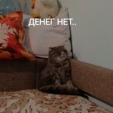 Стикер #9 из набора Котики бизнес