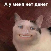 Стикер #6 из набора Котики бизнес