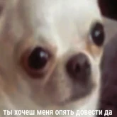 Стикер #2 из набора Жизень