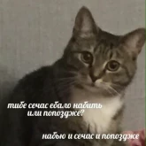 Стикер #8 из набора Жизень