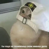 Стикер #9 из набора Жизень