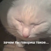 Стикер #11 из набора Жизень