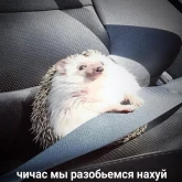 Стикер #6 из набора Жизень