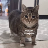 Стикер #10 из набора Другая жизень